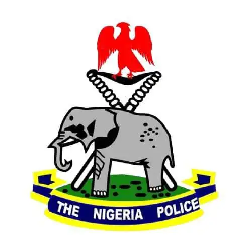 Police Announce Special Promotion Exercise For Over 4,300 Inspectors